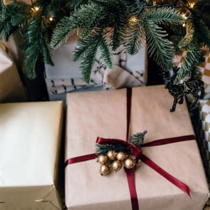 A present wrapped in brown paper and a red bow sitting under a Christmas tree